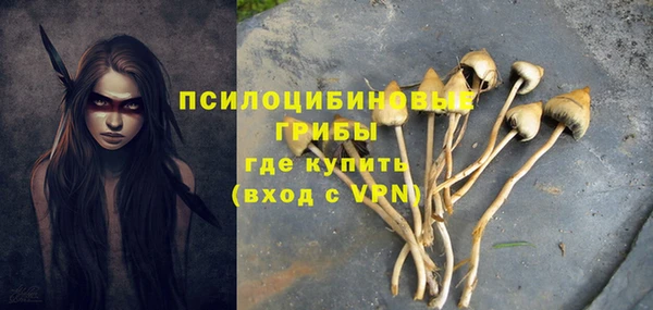 бутик Бородино