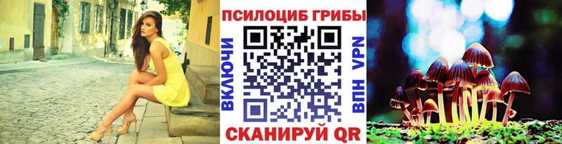 магазин продажи наркотиков  Гусев  Псилоцибиновые грибы мицелий 
