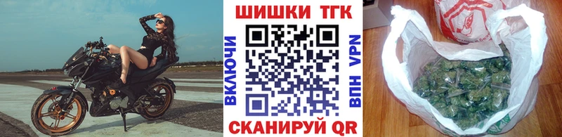 mega онион  Гусев  Шишки марихуана OG Kush 